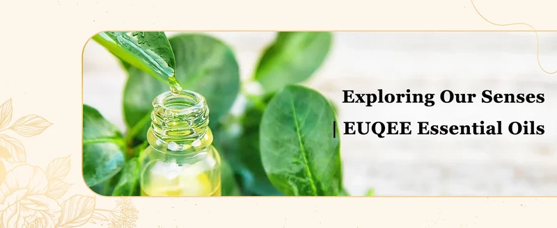EUQEE 10ML Natural Essential Oils Eucalyptus Spearmint Vanilla Lavender Lemon Oregano Oil For Humidifier DIY Soap,Candle Making