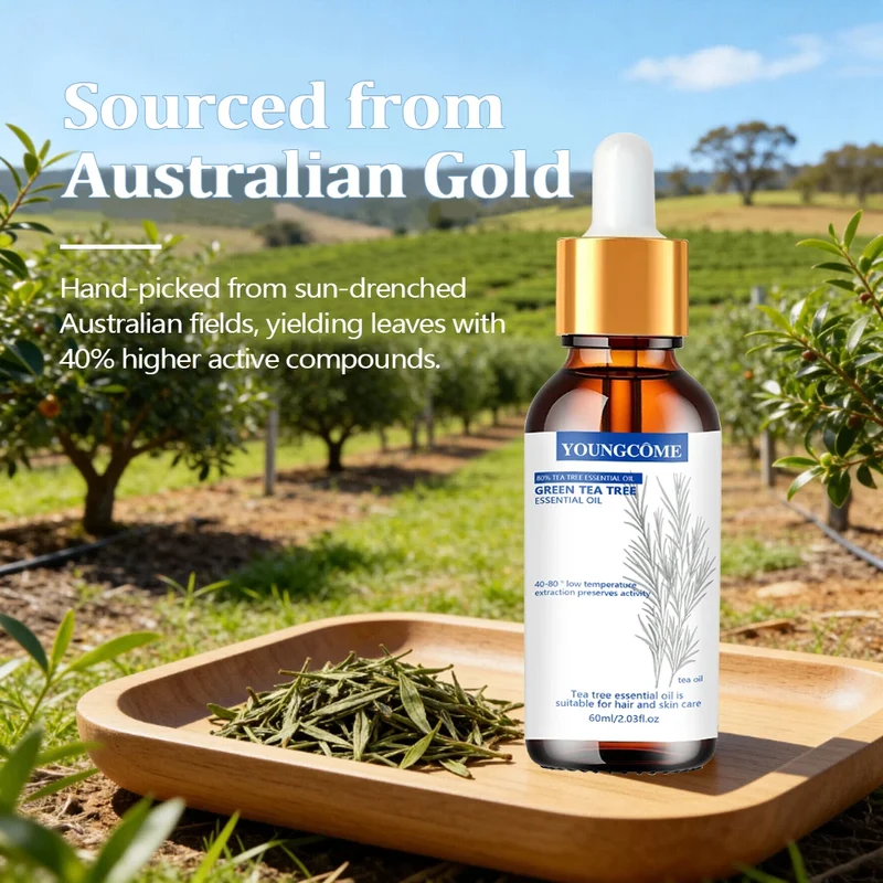 Tea Tree Essential Oil , Nature for Aromatherapy, Diffuser, Humidifier, Woody, Relieving Stress，Massage Muscle