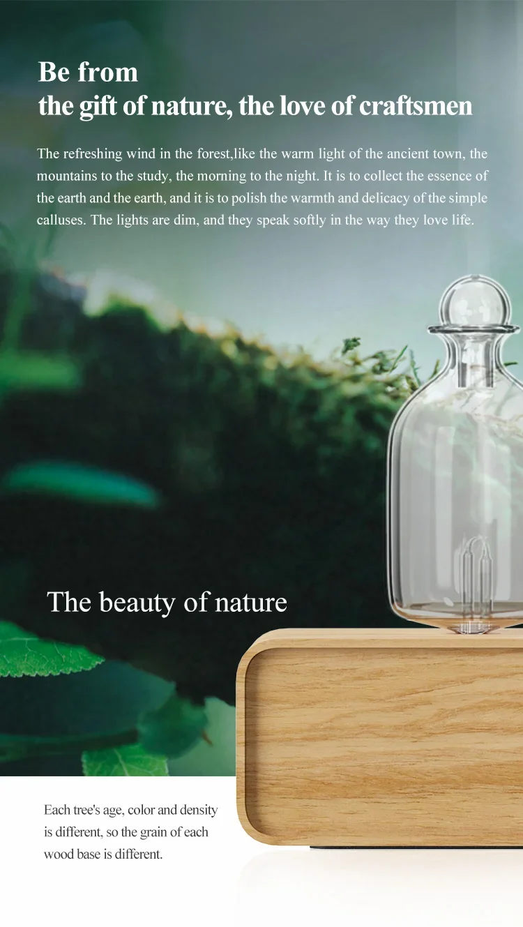 Rechargeable Essential Oil Diffuser Waterless Nebulizing Diffuser Electric Smell for Home Office Wood and Glass Aroma Diffuser