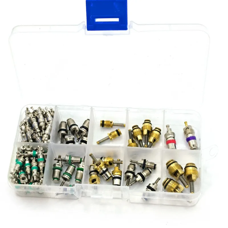 100Pcs/box R134A Car A/C Core Valves Automotive Air Conditioning Assortment Kit 1