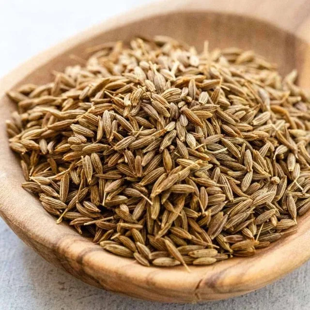 Premium Cumin Seeds Jeera Export Quality Whole Spice Cleaned Natural Seasoning Culinary Aroma from Saanvisha Gujarat India
