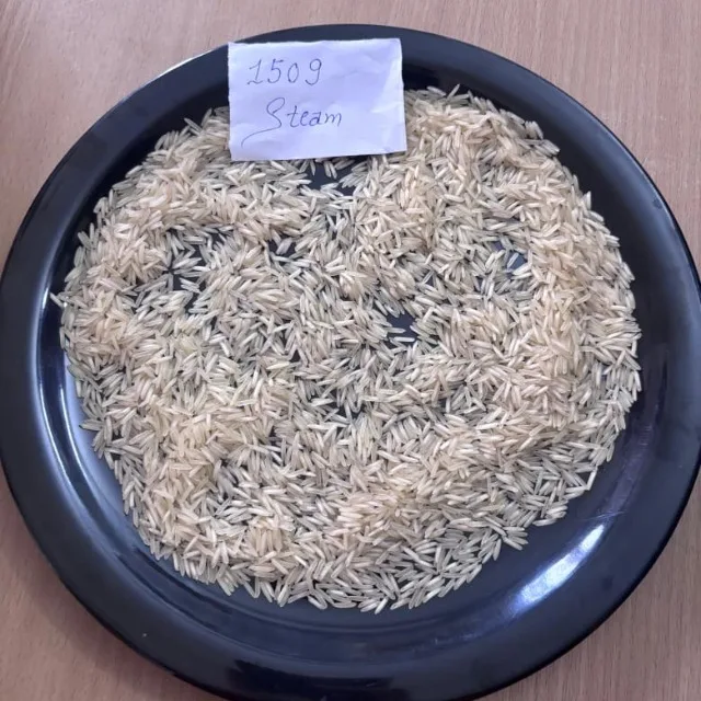 1509 Steam Basmati Rice Premium Fresh Aged Long Grain Aromatic Parboiled a Grade Export Quality Bulk Supply Saanvisha Global