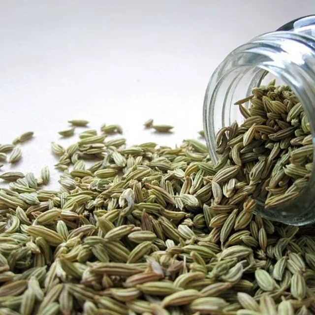 Premium Fennel Seeds Saunf Export Quality Whole Spice Sweet Aroma Cleaned Graded Bulk Supply from India Cooking Mouth Freshener