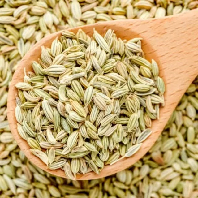 Premium Fennel Seeds Saunf Export Quality Whole Spice Sweet Aroma Cleaned Graded Bulk Supply from India Cooking Mouth Freshener