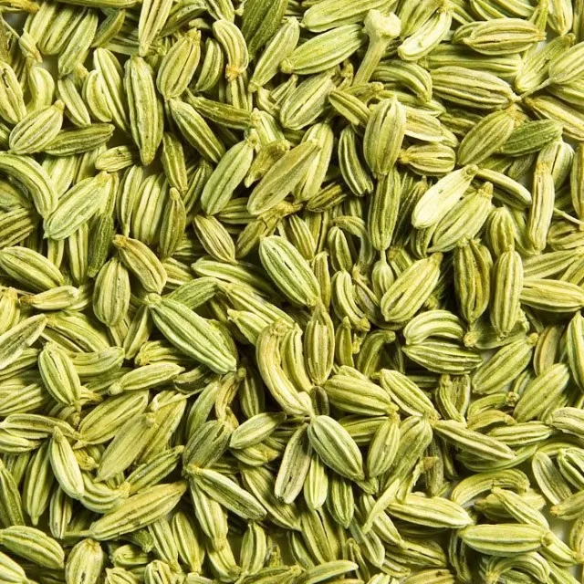 Premium Fennel Seeds Saunf Export Quality Whole Spice Sweet Aroma Cleaned Graded Bulk Supply from India Cooking Mouth Freshener