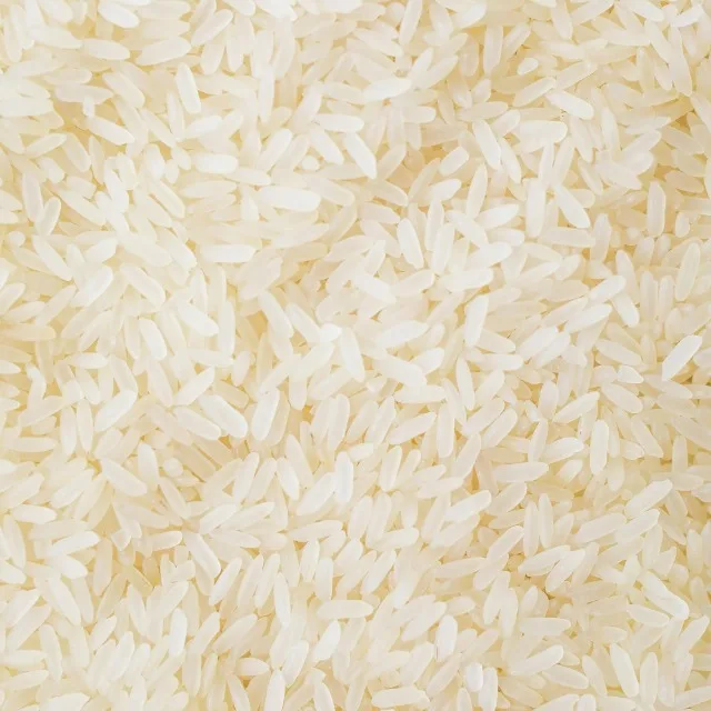 Sona Masuri Raw Rice Non Basmati Medium Grain Aromatic Unpolished Premium Grade Export Quality Soft Texture Bulk Supply India