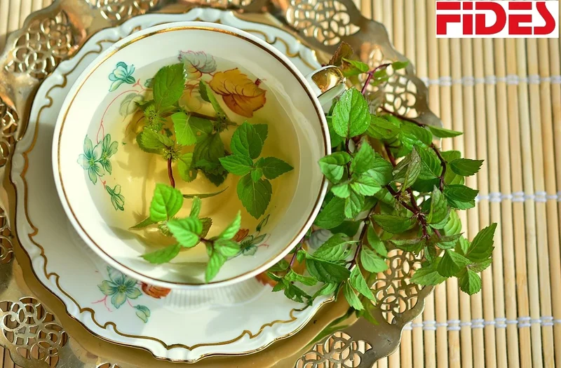 Organic Mint Tea ISO Certified 100% Natural Loose Tea Cool Flavour Freshness Health Benefits Private Label Bulk Sachet Box