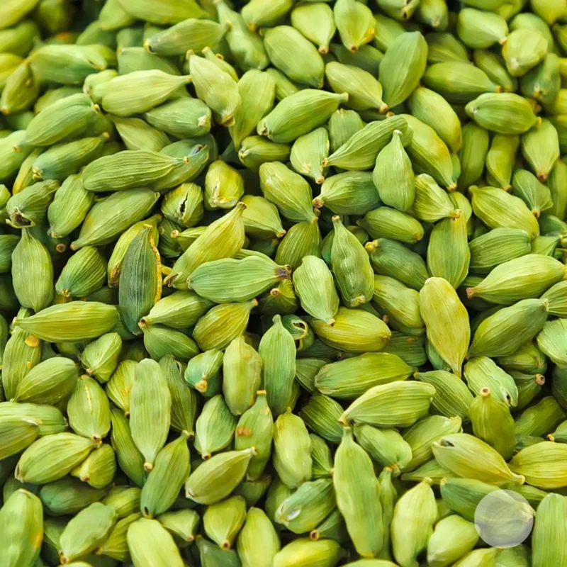 Luxury 8+1 Grade Highland Reserve Fresh Raw Extra Green Cardamom Pods Fragrant Seed Pods Signature Spice Collection Bulk Export