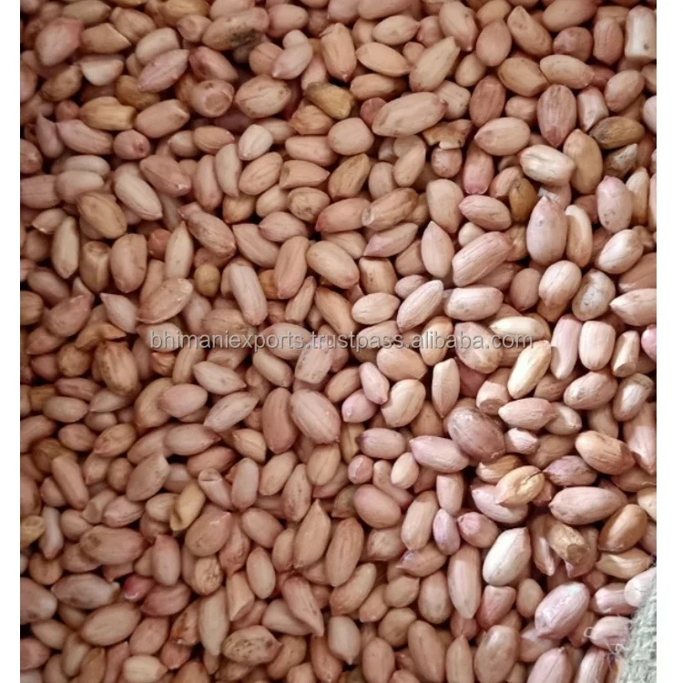 Wholesale Natural Brown Skin Raw Dried Peanut Kernels Bulk Grade GMO Free 25/30/50kg 40kg Jute Bags APEDA Certified India Low