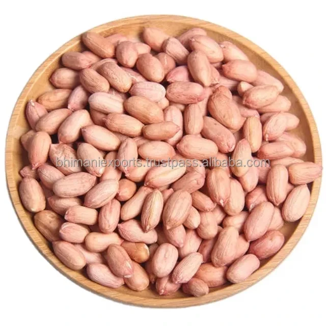 Healthy Snack Red Skin Peanut a Grade Raw Dried Kernels Peeled Peanuts Bulk India Manufacturer GMO Free APEDA Certified