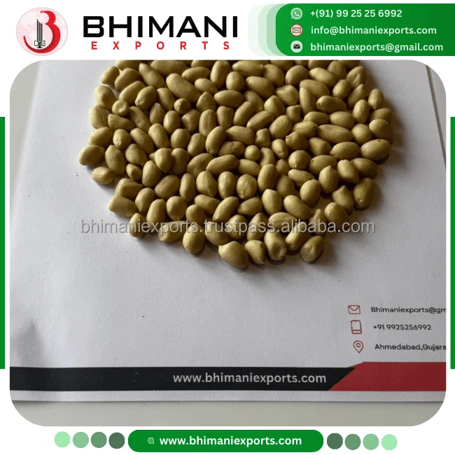 Wholesale Red Skin a Grade Dried Peanuts Bulk Raw 100% Natural India GMO Free APEDA Certified 25/30/50kg Woven Bag