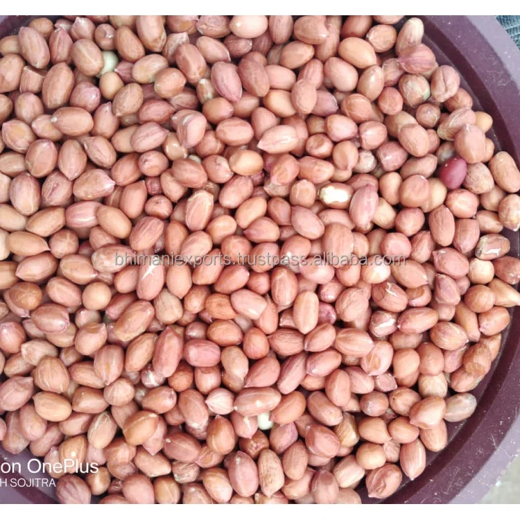 Leading Exporter of Best Quality Red Skin Dried Raw Peanut Seeds From India for Bulk Supply & Reselling APEDA Certified