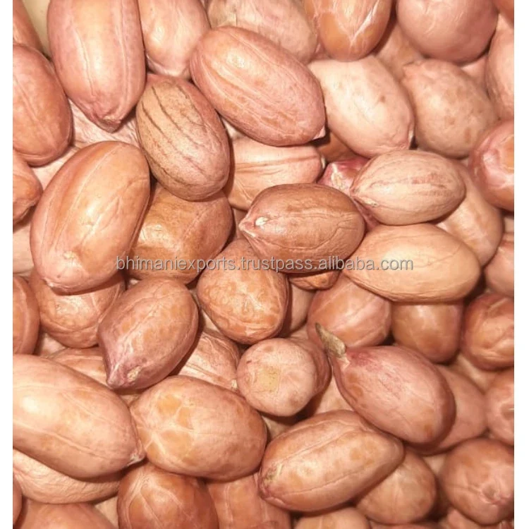 Leading Exporter of Best Quality Red Skin Dried Raw Peanut Seeds From India for Bulk Supply & Reselling APEDA Certified