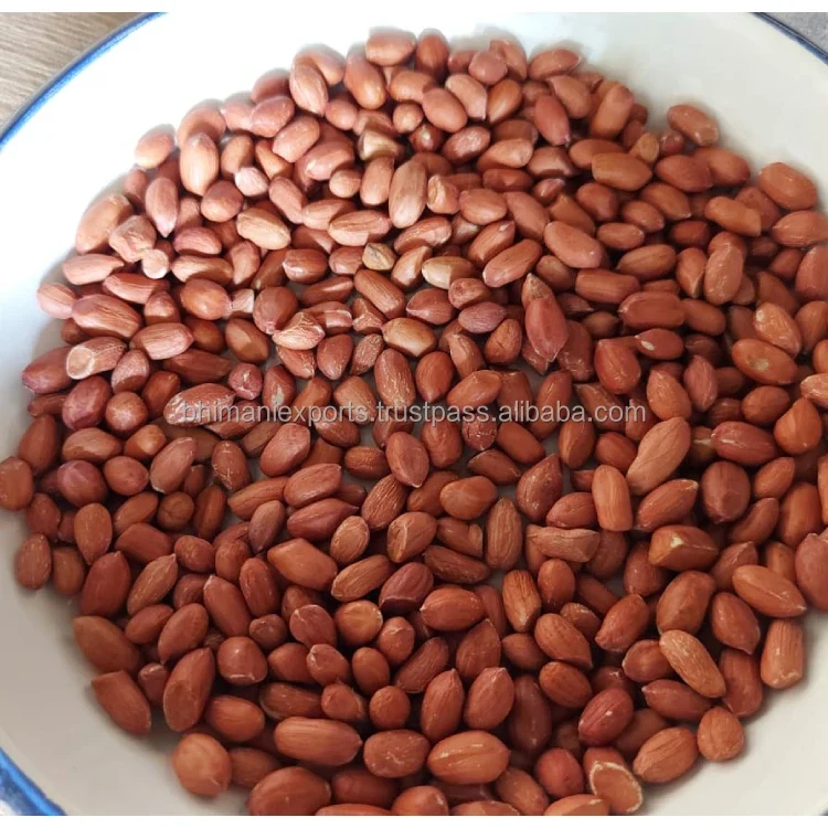 Leading Exporter of Best Quality Red Skin Dried Raw Peanut Seeds From India for Bulk Supply & Reselling APEDA Certified