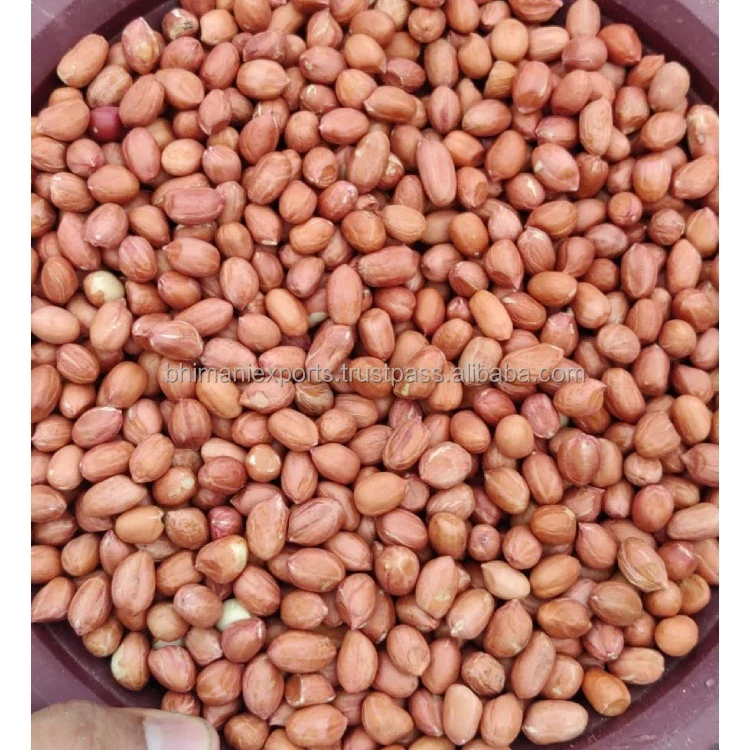 Leading Exporter of Best Quality Red Skin Dried Raw Peanut Seeds From India for Bulk Supply & Reselling APEDA Certified