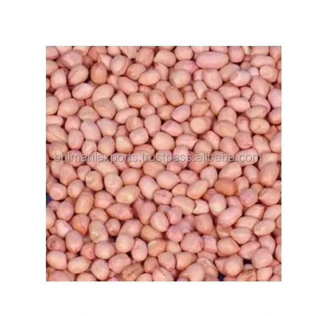 Raw Dried Red Skin Peanut Kernels 100% Natural APEDA Certified India Origin a Grade