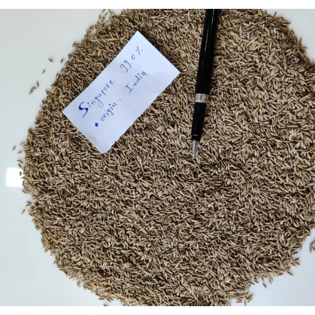 Low Price India 99% Cumin Seeds Natural Raw AD Dried Food Grade Best Quality Bhimani Exports 1 Year Shelf Life
