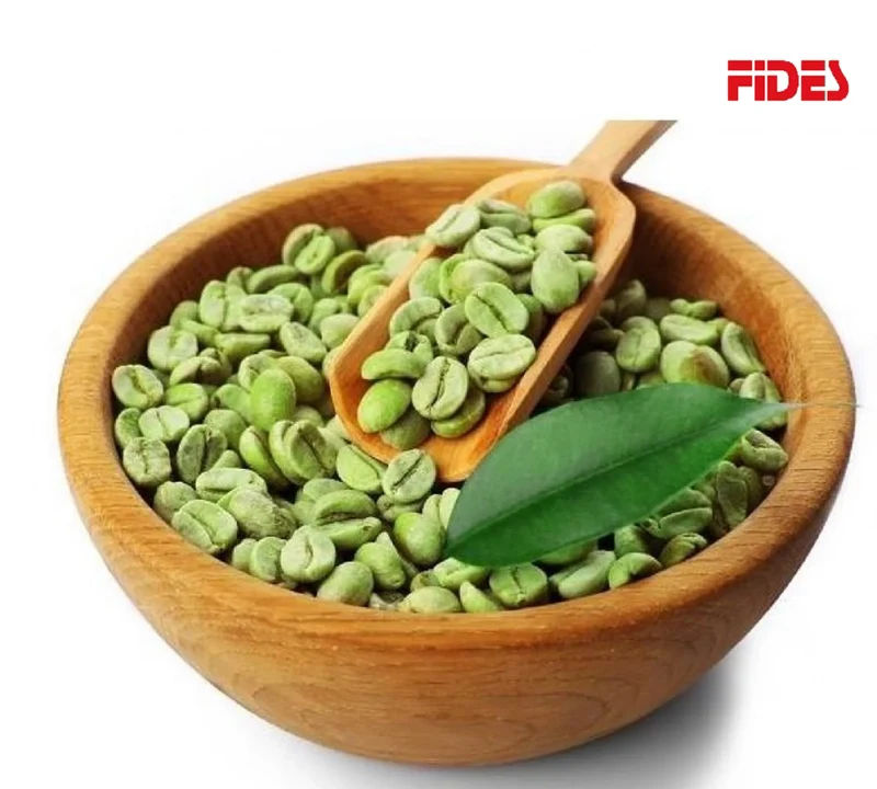 Green Coffee Beans in Bulk Wholesale Coffee Suppliers Organic Green Coffee