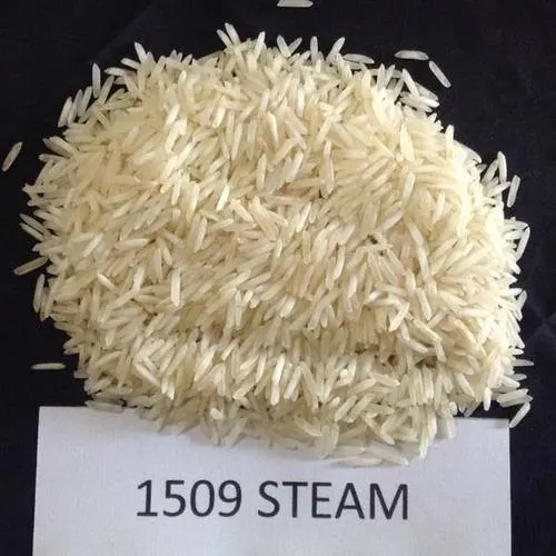 High Quality PAPO FPI0018 Sella Basmati Rice 1509 White Export From India Hard Texture Dried Biryani with Natural Aroma