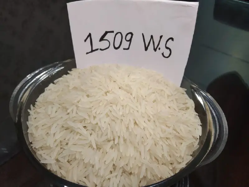 High Quality PAPO FPI0018 Sella Basmati Rice 1509 White Export From India Hard Texture Dried Biryani with Natural Aroma