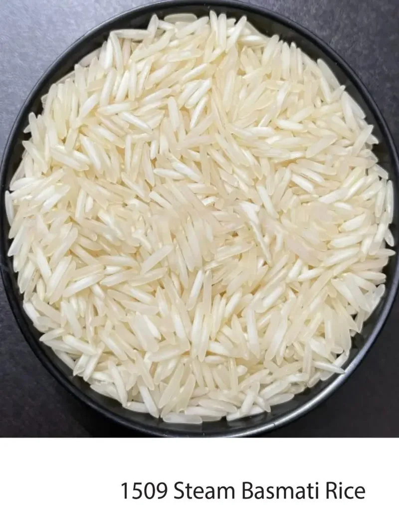 Sharbati Raw Basmati Rice Export in India Top Class Quality Product Manufacture Aromatic Packing 10 kg 20kg 50kg