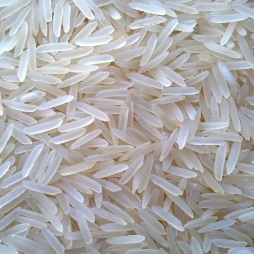 High Quality Non-Basmati Swarna Hard Medium-Grain Raw Export Rice Dried 10 kg 20 kg 50 kg Packing Manufactured in India