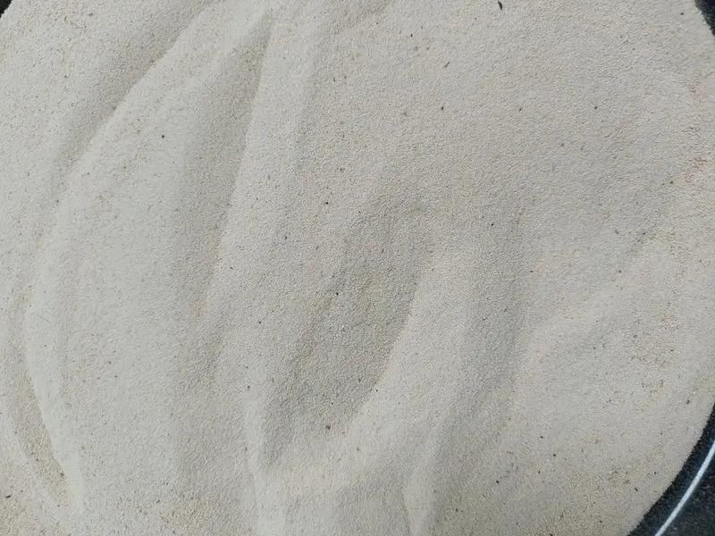Rice Protein 50% Powder Bulk Supply Organic 25kg to 50 kg Packing Feeding Bulk Plant Exporter in India Manufacture