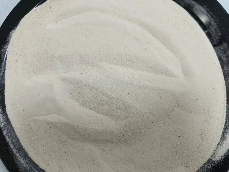 Rice Protein 50% Powder Bulk Supply Organic 25kg to 50 kg Packing Feeding Bulk Plant Exporter in India Manufacture