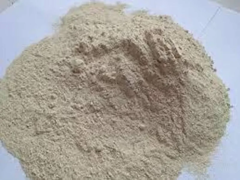 Rice Protein 50% Powder Bulk Supply Organic 25kg to 50 kg Packing Feeding Bulk Plant Exporter in India Manufacture