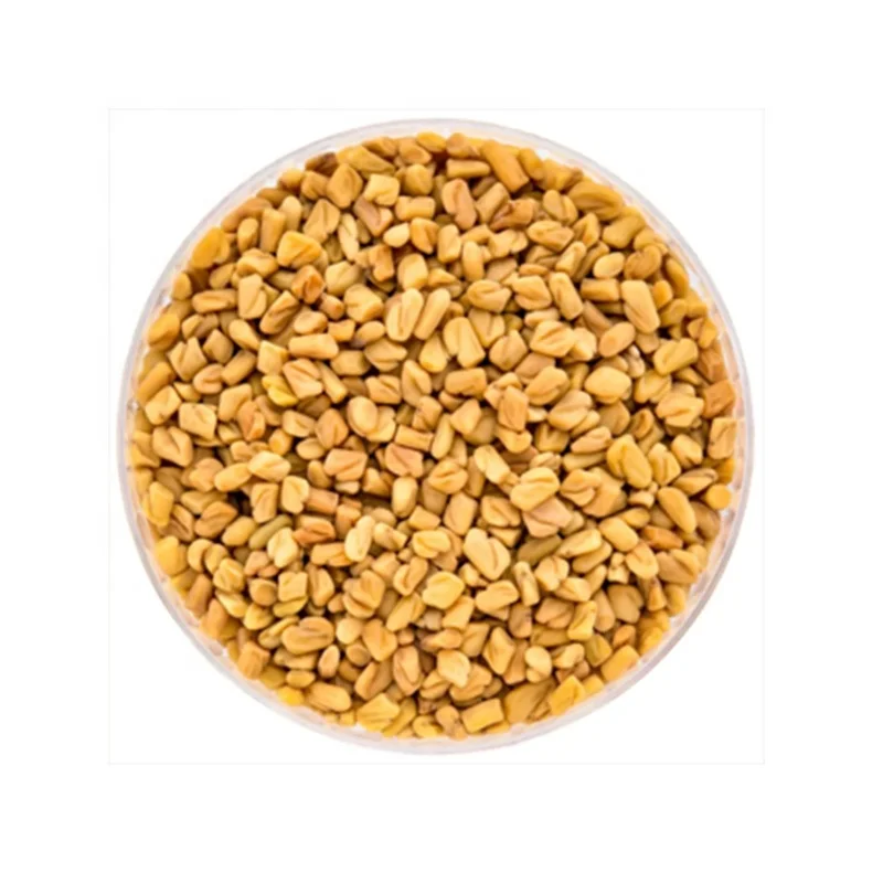 High Quality Traditional Indian Fenugreek Seeds Single Spices Herb in Bulk Dried AD Raw Processing Round 5kg