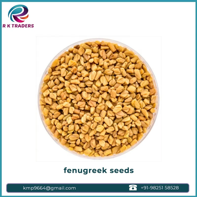 High Quality Traditional Indian Fenugreek Seeds Single Spices Herb in Bulk Dried AD Raw Processing Round 5kg