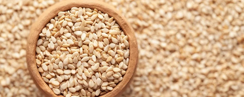 Organic Fresh White Hulled Sesame Seed 99.90 Purity Grown with Care 25 KG