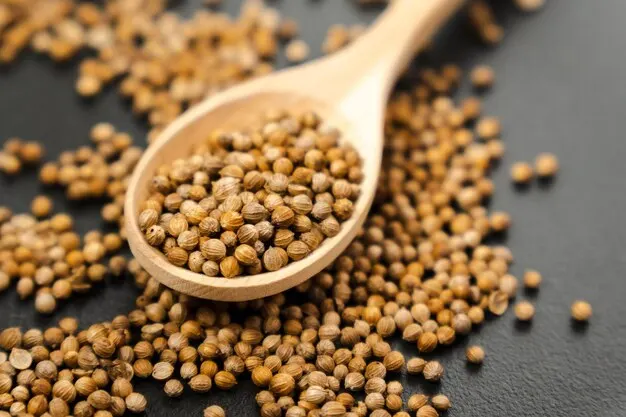 High Quality Raw and Dried Coriander Seeds Good Ad Drying Process Single Spices & Herbs