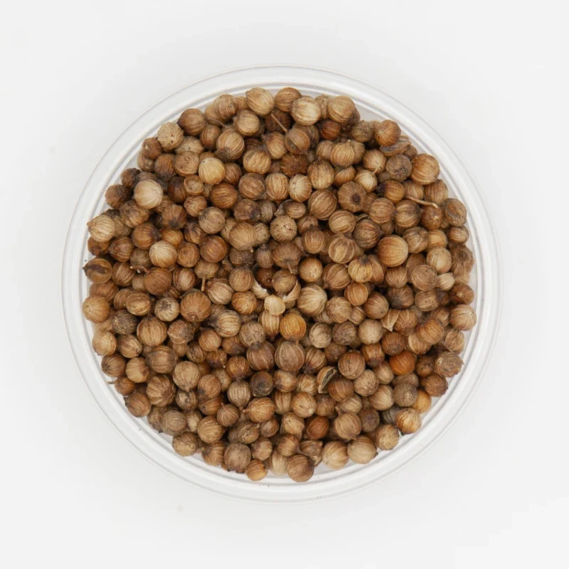 Coriander Seeds Premium Quality
