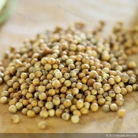 Coriander Seeds Premium Quality