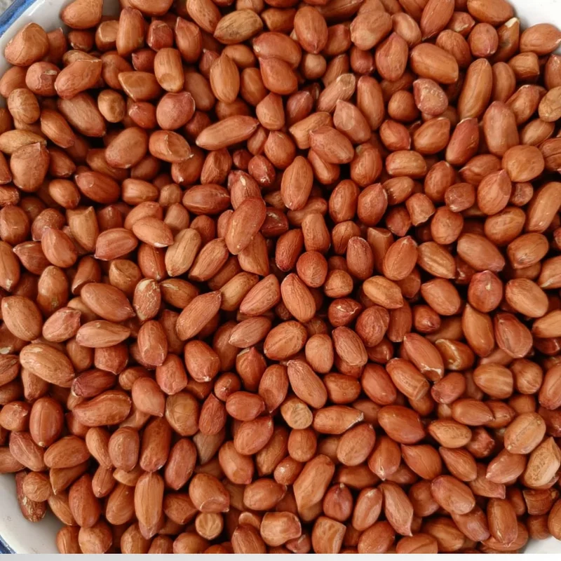 Premium Organic Raw Dried Peanuts (Groundnuts) GMO 100% Pure Grade a | Export-Grade | Bulk 25kg & 50kg | Sourced From India