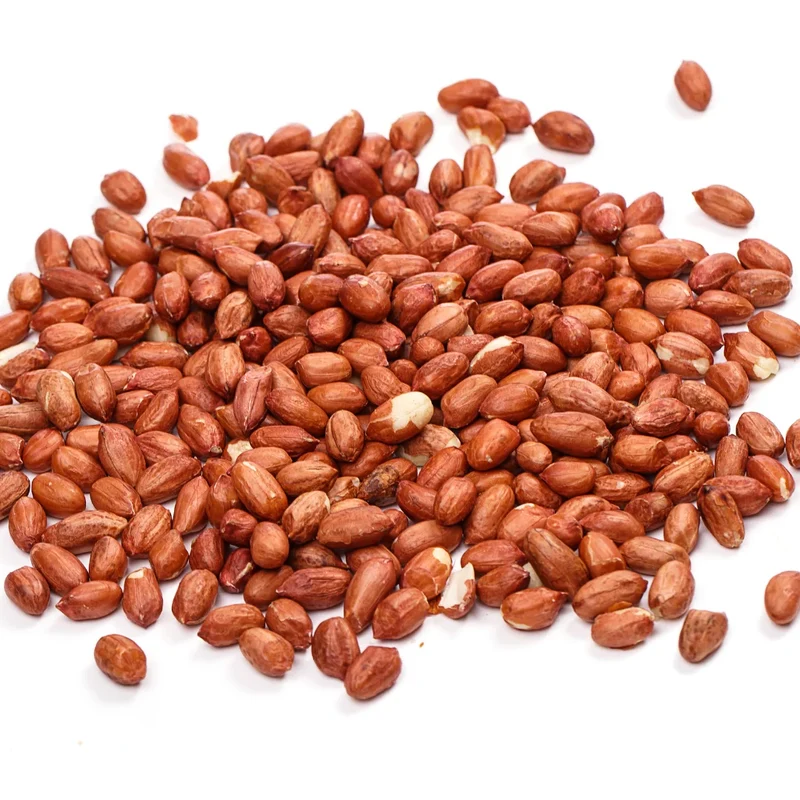 Premium Organic Raw Dried Peanuts (Groundnuts) GMO 100% Pure Grade a | Export-Grade | Bulk 25kg & 50kg | Sourced From India