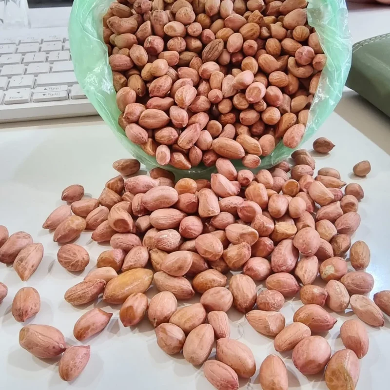Premium Bold Raw Dried Peanuts GMO Cultivation Export Quality From Gujarat India | 1kg Pack