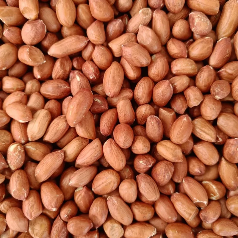 Premium Quality 70/80 Small Size Dried Groundnuts (Peanuts) Grade a 1kg Packaging for Wholesale Export Raw Peanuts for Sale