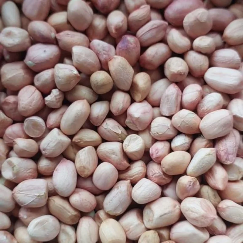 High Quality Organic Indian Java Groundnut Halves Pesticide-Free Dried Raw Peanuts Kernels Jumbo Size Food-Grade 1kg 24 Months