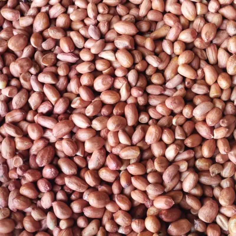 High Quality Organic Indian Java Groundnut Halves Pesticide-Free Dried Raw Peanuts Kernels Jumbo Size Food-Grade 1kg 24 Months