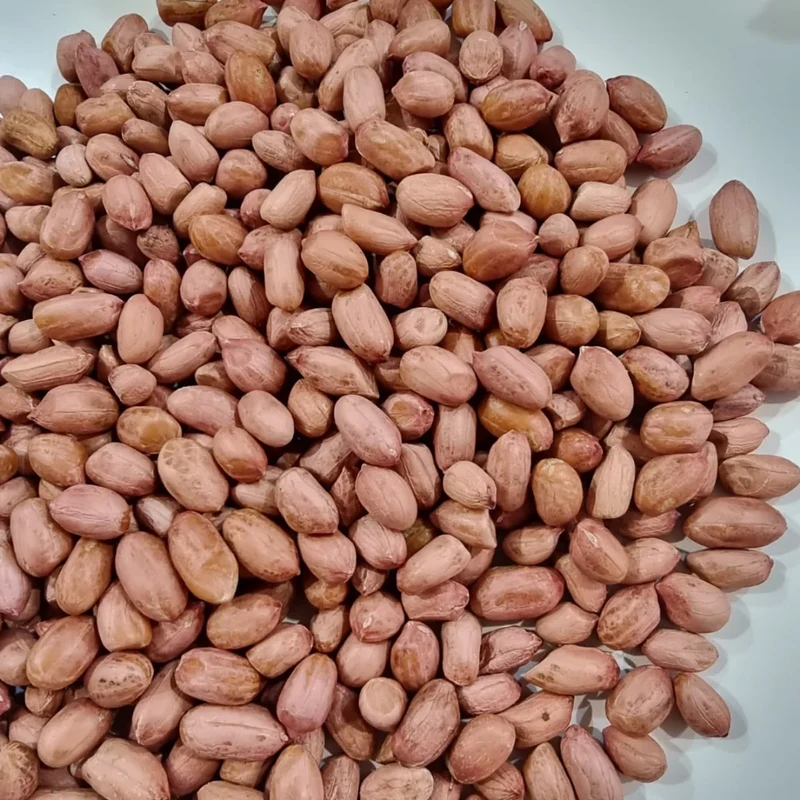 High Quality Organic Indian Java Groundnut Halves Pesticide-Free Dried Raw Peanuts Kernels Jumbo Size Food-Grade 1kg 24 Months