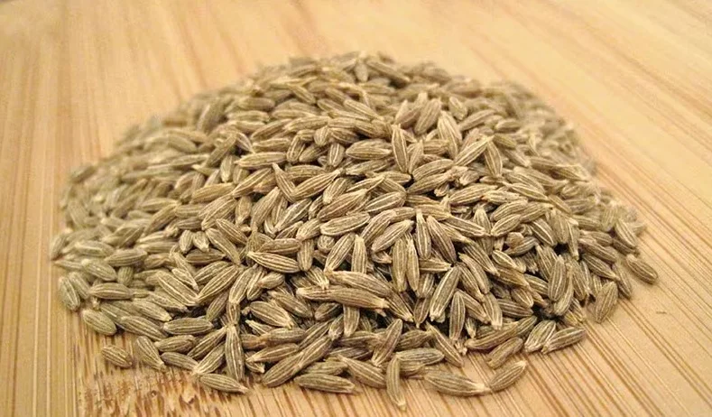 Jiyan Food Ingredients Cumin Seeds Singapore Quality 99% Grade AD Processed Dried Raw Curry Spice India Food Safety Certified