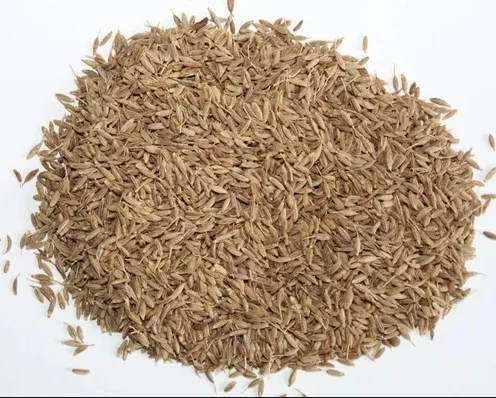 Jiyan Food Ingredients Cumin Seeds Singapore Quality 99% Grade AD Processed Dried Raw Curry Spice India Food Safety Certified