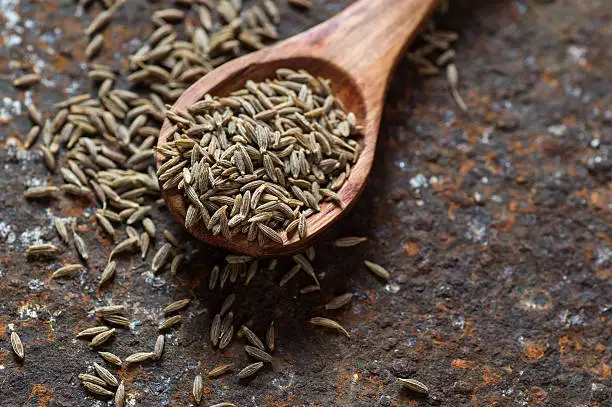 Jiyan Food Ingredients Cumin Seeds Singapore Quality 99% Grade AD Processed Dried Raw Curry Spice India Food Safety Certified