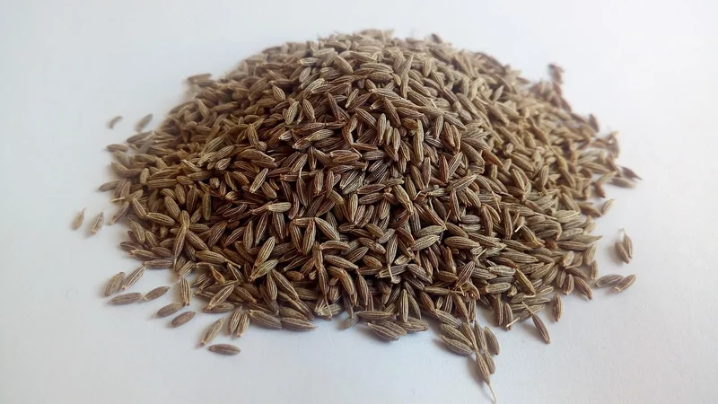 Jiyan Food Ingredients Cumin Seeds Singapore Quality 99% Grade AD Processed Dried Raw Curry Spice India Food Safety Certified