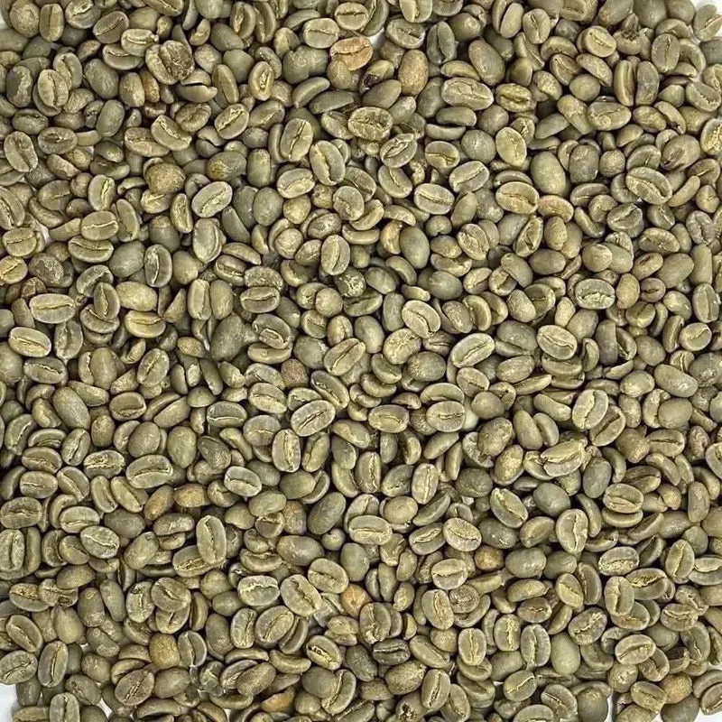 Vietnam Robusta Green Coffee Beans Grade 1 Size 16 18 Traceable Source Premium Quality Bulk Supply Factory Export