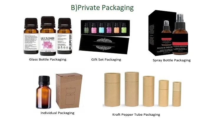 High Quality 100% Natural Body Massage Oils Carrier Oil Cold Pressed, Bulk Bitter Apricot Kernel Organic Oil Pure for Cosmetics