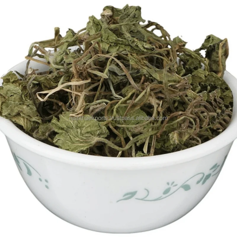 Indian Pennywort Bacopa Monnieri Dried Brahmi Booti Saraswati Leaves Dried Raw Herbs Wholesale Herbal product