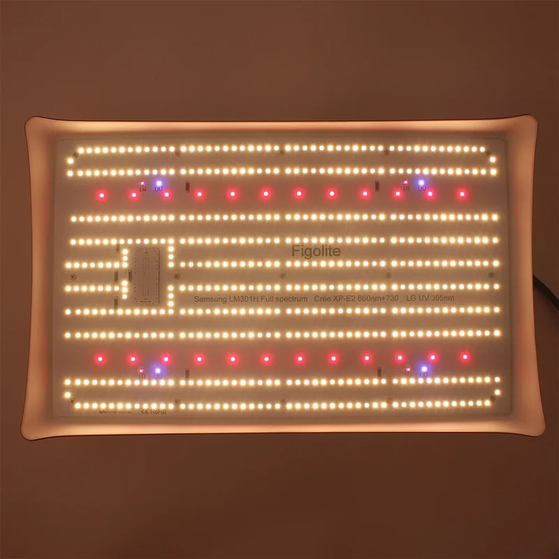 Figolite 240W Mix 660nm 730nm Uv 395nm Full Spectrum Led Grow Light for Indoor Growing